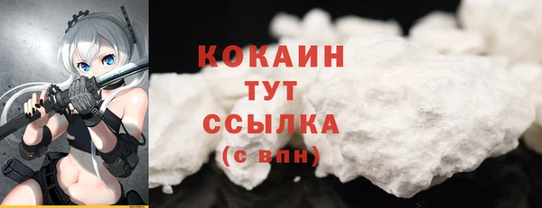 гашиш Богданович