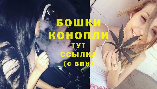 гашиш Богданович