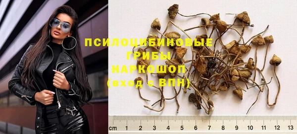 гашиш Богданович