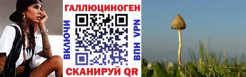 Псилоцибиновые грибы ЛСД  где купить наркоту  Рязань 